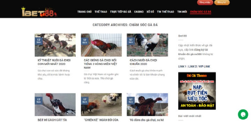 IBet88 – Sàn cá cược đỉnh cao hàng đầu thế giới